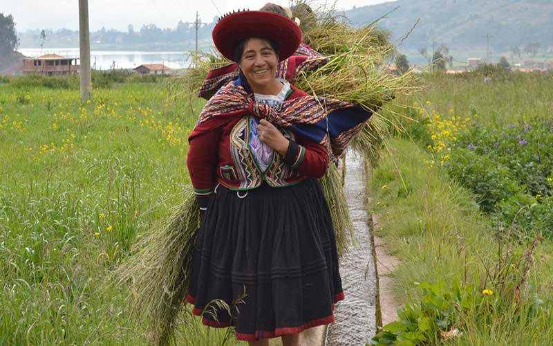 Anthropology-Study-Abroad-Peru