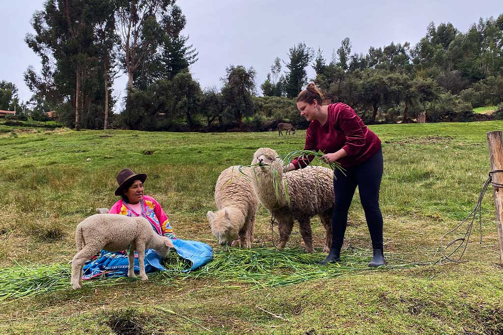 Hybrid-TEFL-Course-PEru