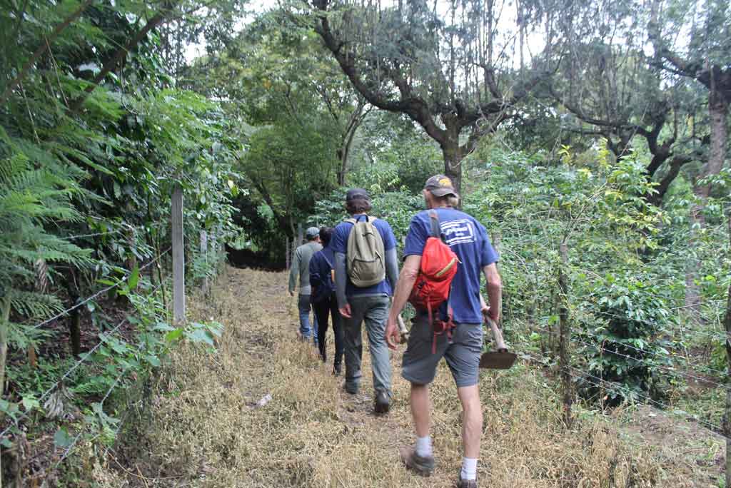 Organic Coffee Farm Guatemala
