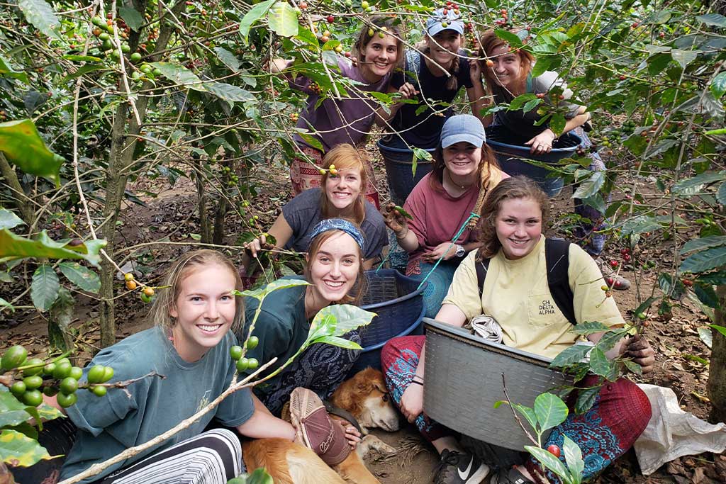 Sustainable-Agriculture-Volunteer-in-Guatemala