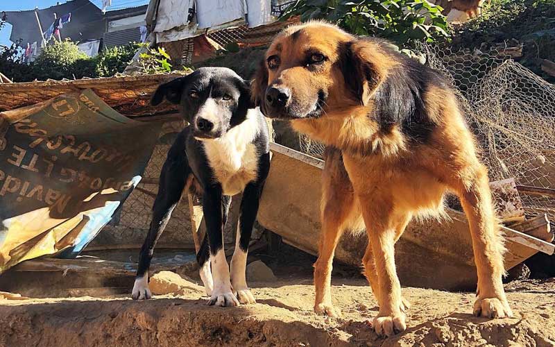 Valentine-Volunteering-Guatemala