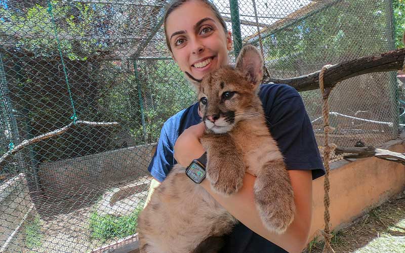 Veterinary-Zoo-Volunteer-Project
