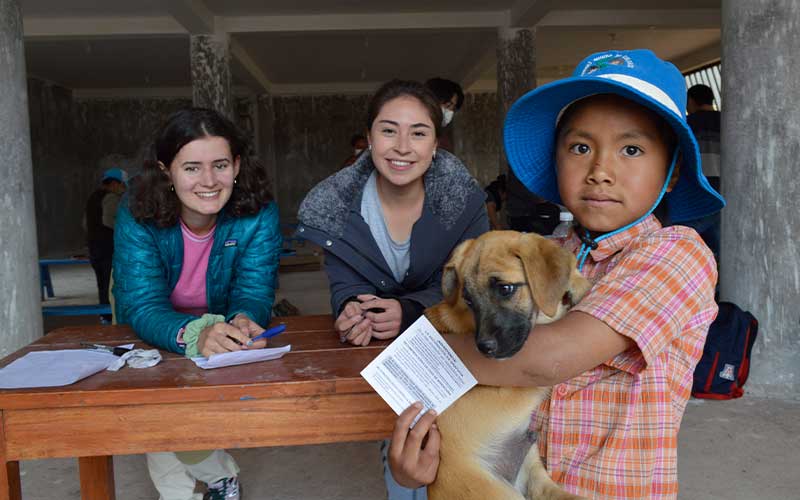 Veterinary-vaccination-campaign-Volunteer-Project