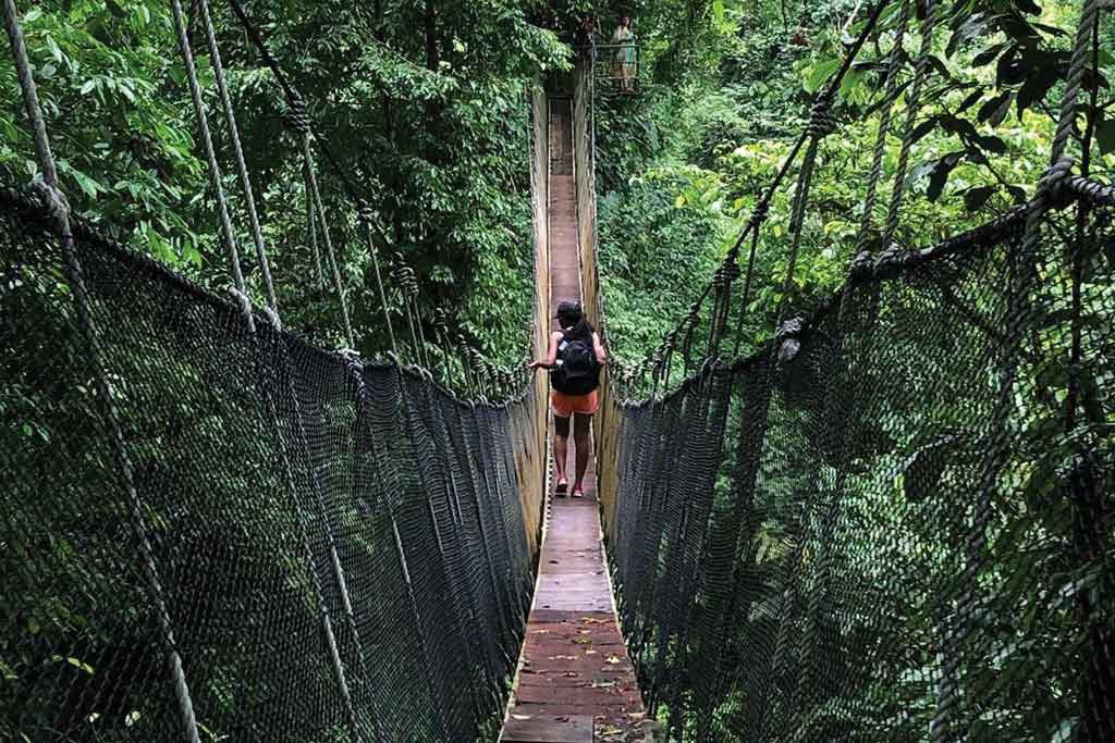 Why-I-Chose-to-Learn-Spanish-in-Costa-Rica Why-I-Chose-to-Learn-Spanish-in-Costa-Rica