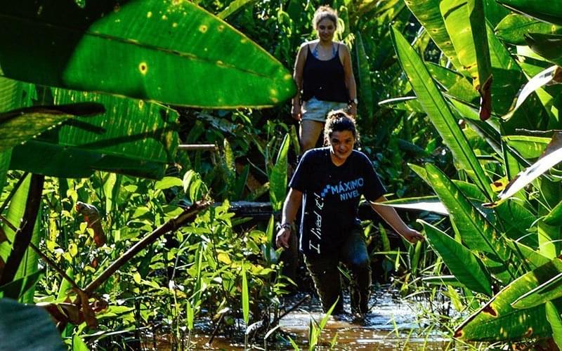 Volunteer in Amazon Conservation