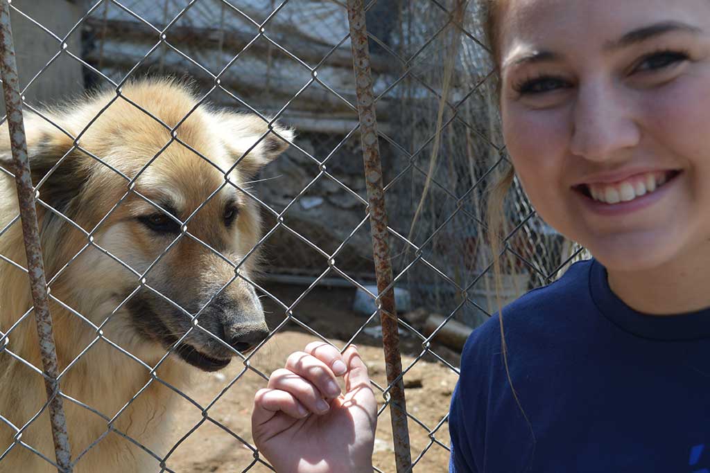 dog-love-volunteer-costa-rica