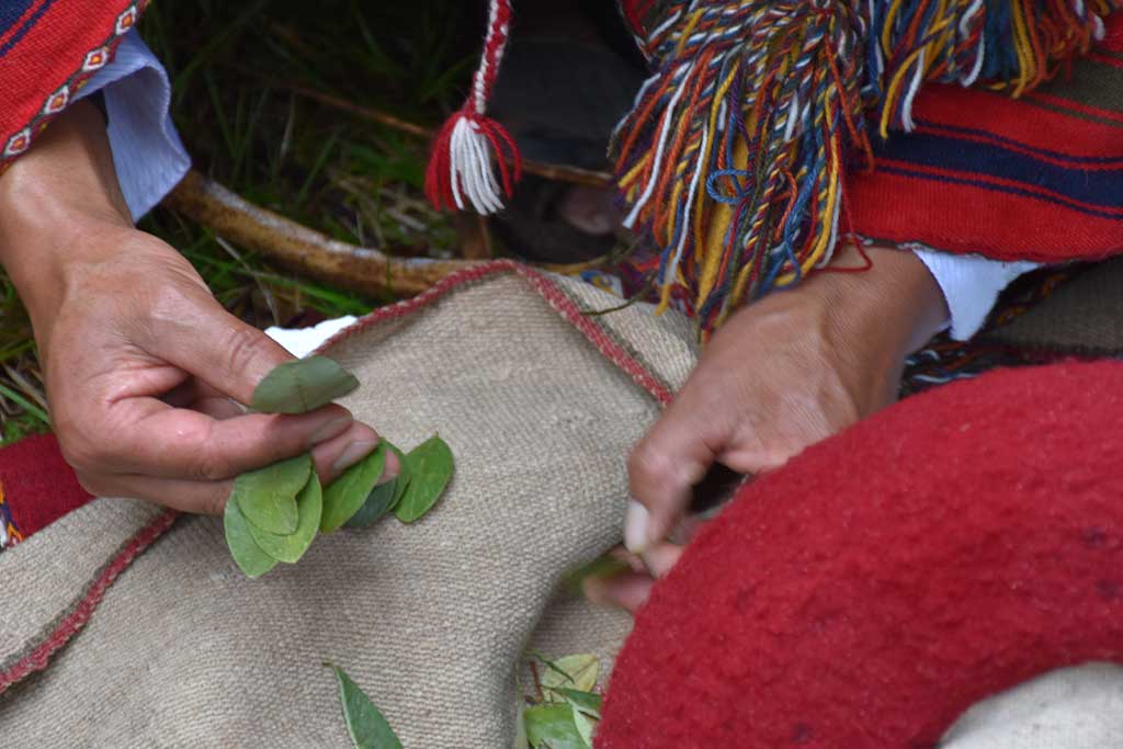 health-latin-america-alternative-medicines