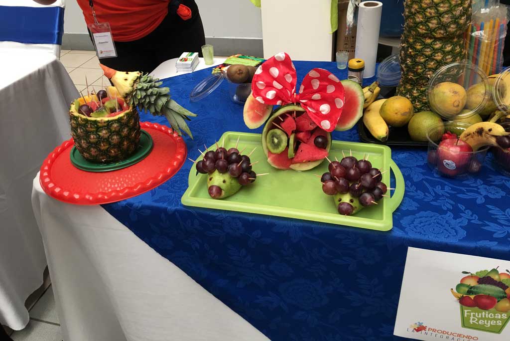 Small Business Internship Program in Costa Rica