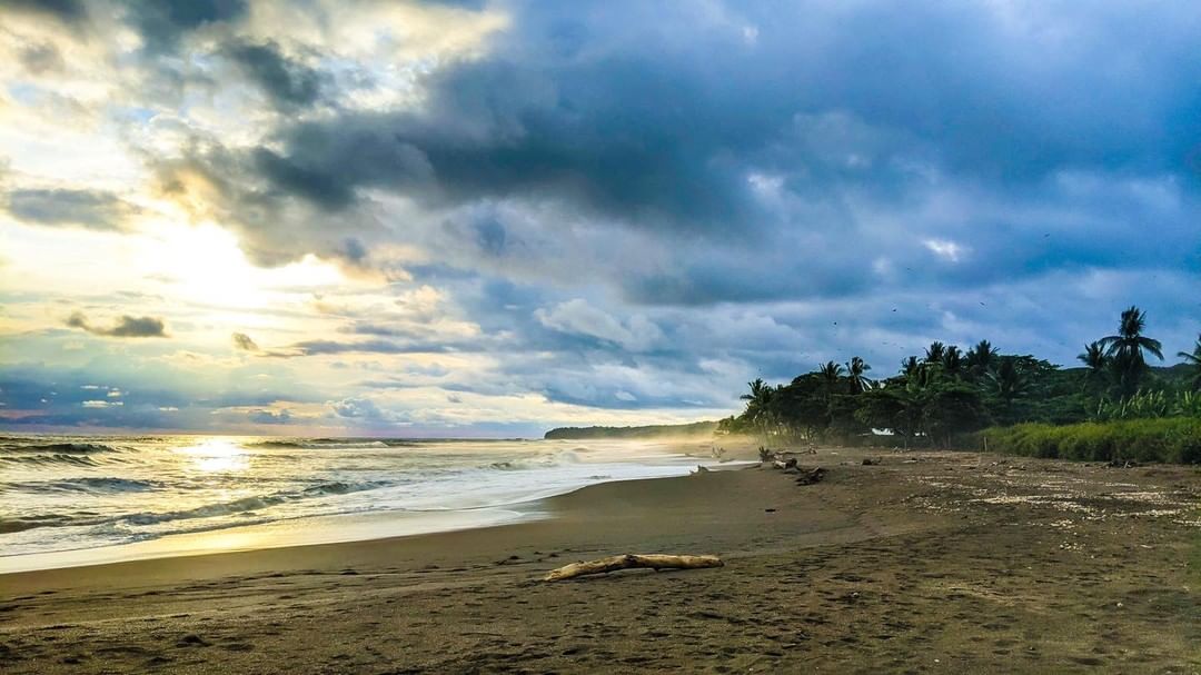 playa ostional cr