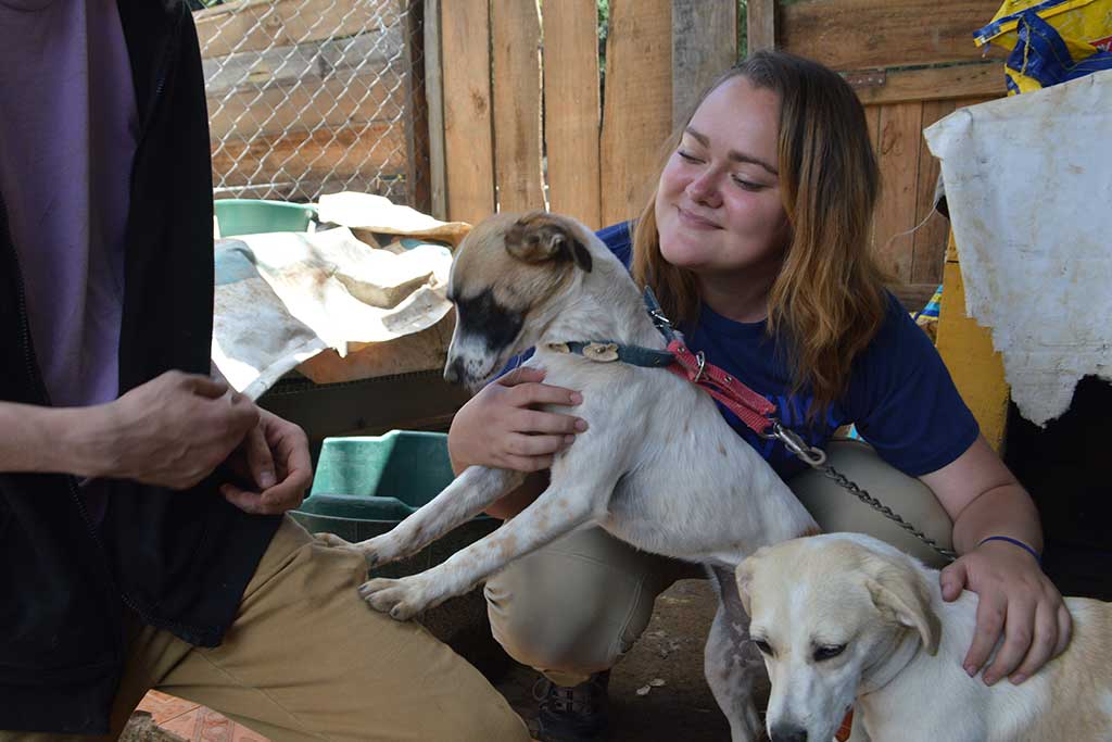 rescue-stray-dogs-in-costa-rica