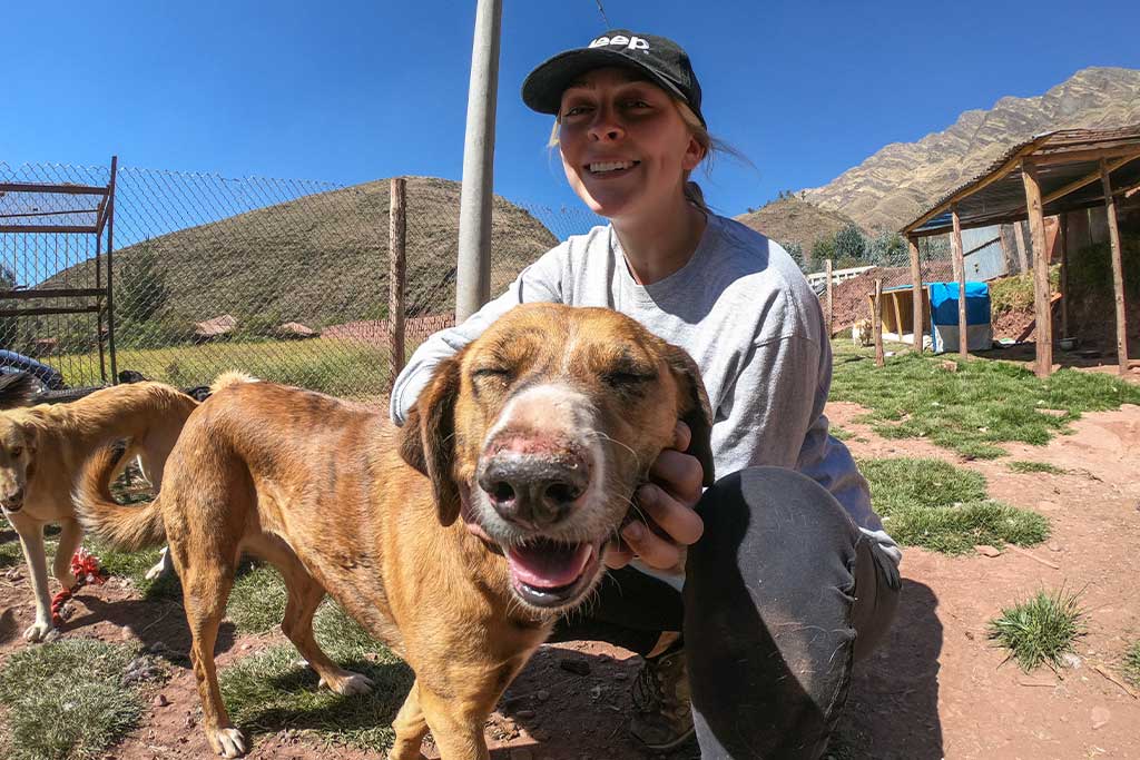 veterinary-internship-peru-cusco