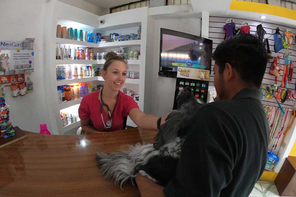 veterinary-internships-in-antigua-guatemala