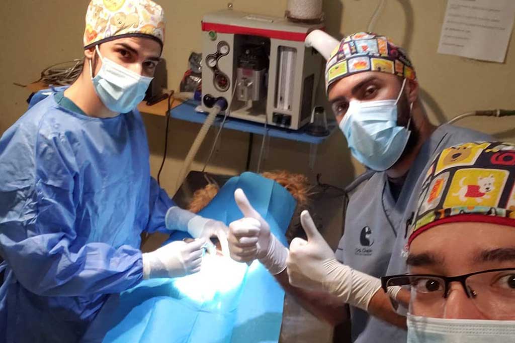 veterinary-science-internship-costa-rica