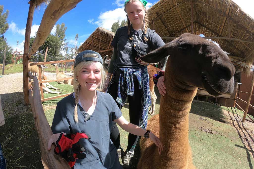 volunteer-for-veterinary-students