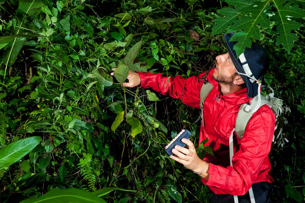 Volunteer in Conservation Projects
